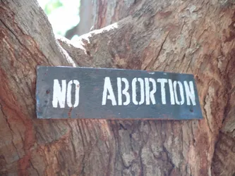 no-abortion_172572946_o.jpg