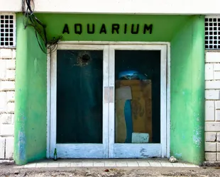the-aquarium-is-no-longer-operating-at-full-strength_4247661548_o.jpg