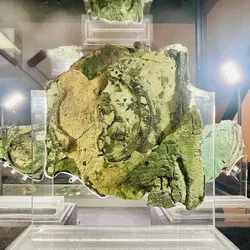 antikythera-mechanism_54129874167_o.jpg