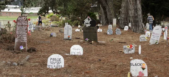 pet-cemetery_2791545709_o.jpg