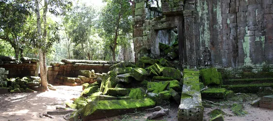 ta-prohm_2975090988_o.jpg
