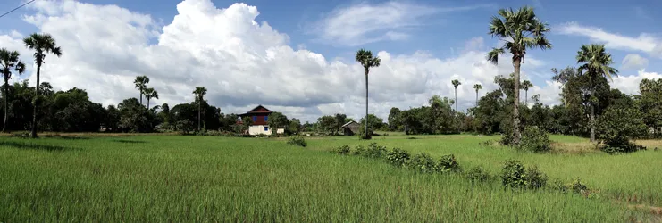 the-fields-around-angkor-wat-cambodia_2963821593_o.jpg