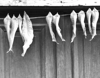 hanging-to-dry_4240171003_o.jpg