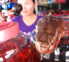 snake-whisky_3896191830_o.jpg