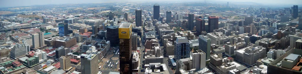 metropolis-johannesburg_402310466_o.jpg