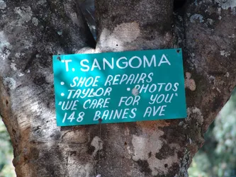 t-sangoma_172577534_o.jpg