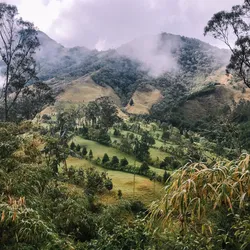valle-del-cocora_48924637248_o.jpg
