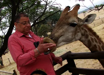 hugo-feeding-melman_437363385_o.jpg