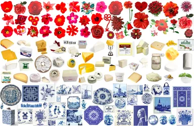 dutch-flag-made-from-flowers-cheese-and-delft-blue_4764350642_o.png