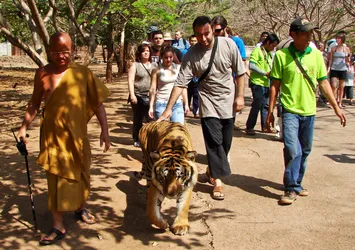 walking-with-tiger_2154361252_o.jpg