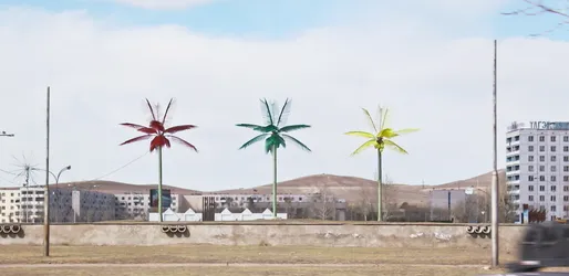 palm-trees-in-mongolia_2287712942_o.jpg