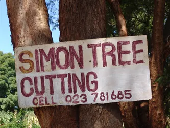 simon-tree-cutting_172572364_o.jpg