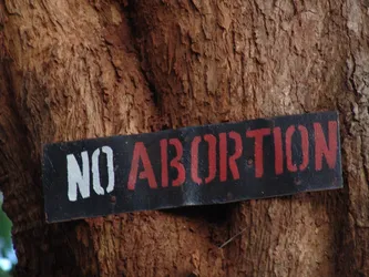 no-abortion_172581509_o.jpg