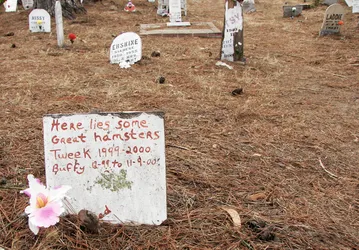 here-lies-some-great-hamsters_2792351112_o.jpg