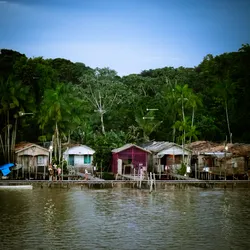 on-the-shores-of-the-amazon_24309533750_o.jpg