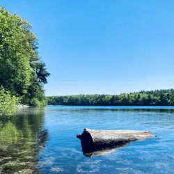 at-walden-pond_52180229484_o.jpg
