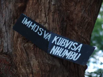 imhosva-kubvisa-nhumbu_172581589_o.jpg