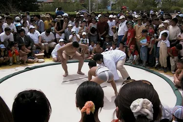 children-sumo_2288220310_o.jpg