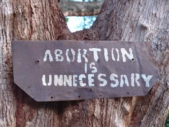 abortion-is-unnecessary_172580527_o.jpg