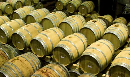 barrels-full-of-monkeys-perhaps_1267256640_o.jpg