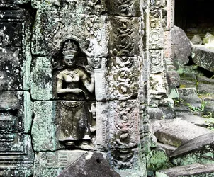 apsara_2962001772_o.jpg