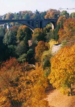 autumn-in-luxemburg_224446723_o.jpg