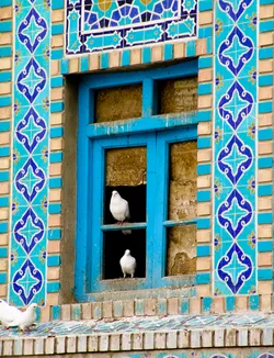 two-white-pigeons_2538138442_o.jpg