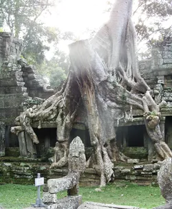 preah-khan_2963796321_o.jpg