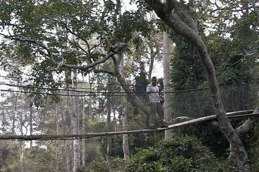 kakum-canopy-walk_2040167085_o.jpg