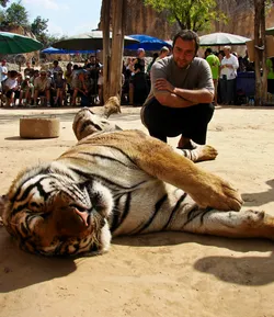 babak-contemplating-the-tiger_2153586647_o.jpg