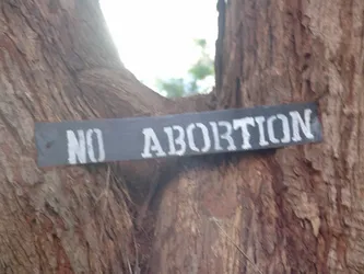 no-abortion_172580217_o.jpg