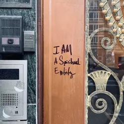 i-am-a-spiritual-entity_51949719993_o.jpg