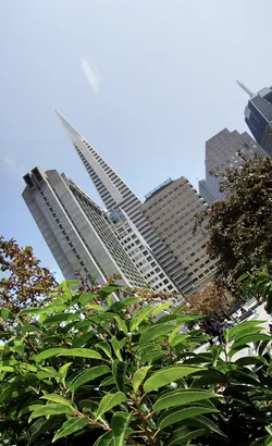 san-francisco_2780253559_o.jpg