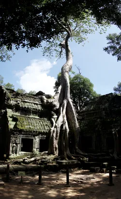 ta-prohm-the-tomb-raider-temple_2974227891_o.jpg